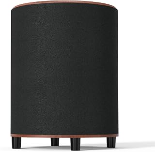 Littoak 6.5-Inch Powered Subwoofer with DSP & Class-D Amp - 100W Peak, 40Hz Deep Bass, Compact Home Theater Sub