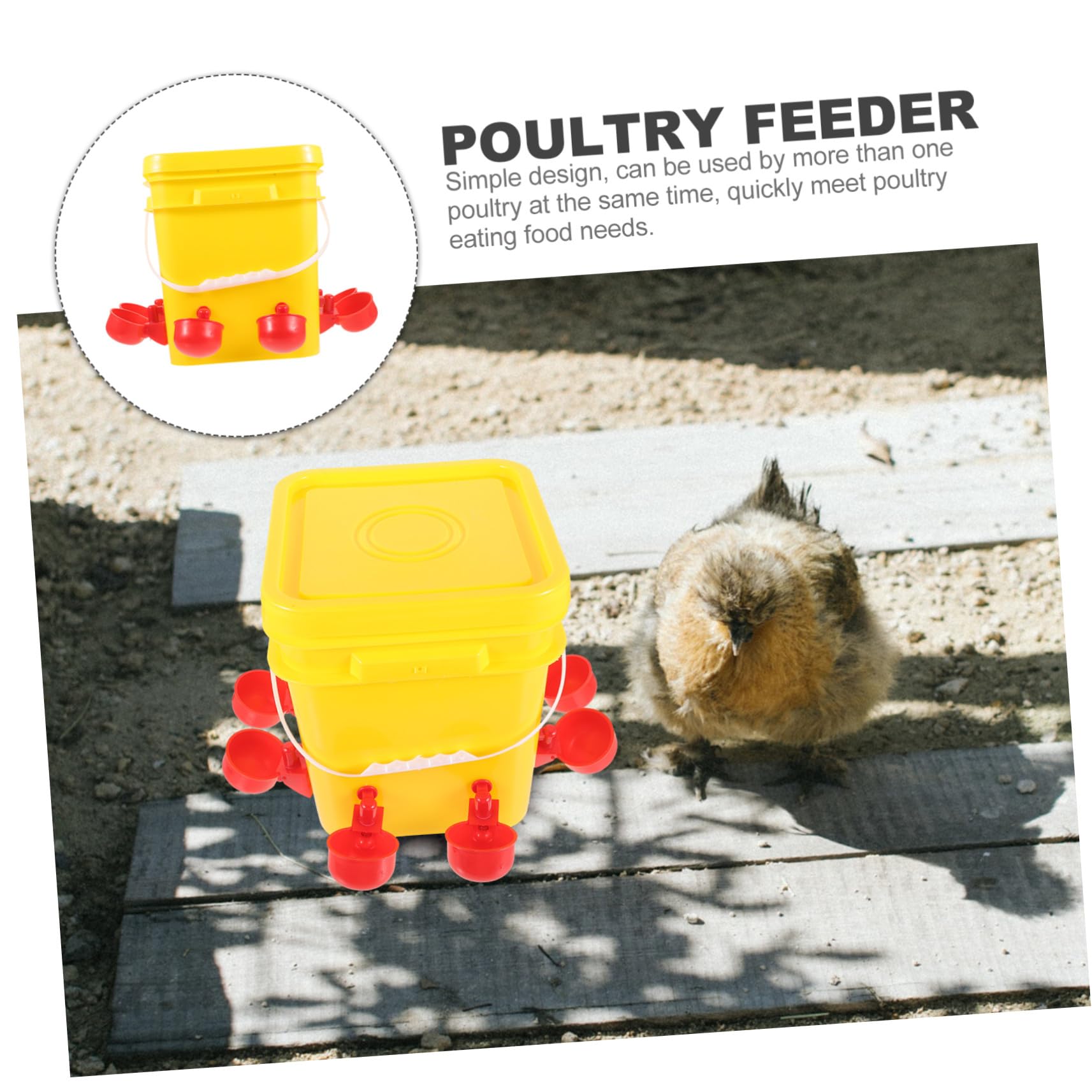 GALPADA Mangiatoia Automatica Scomparti Multipli in PE Giallo 12l per Pollame Facile da Pulire e Riutilizzabile per Alimentazione All'aperto di Galline e Pulcini