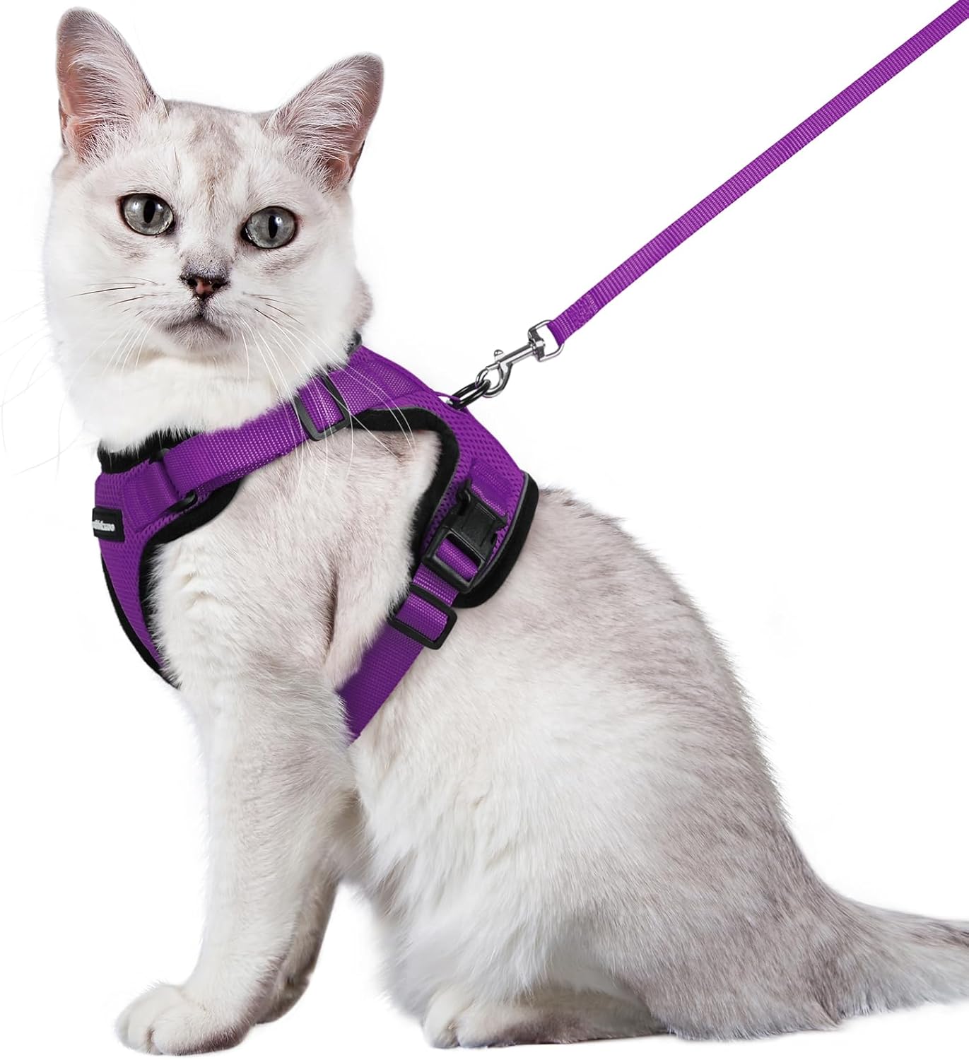 Pet Supplies rabbitgoo Cat Harness and Leash for Walking, Escape