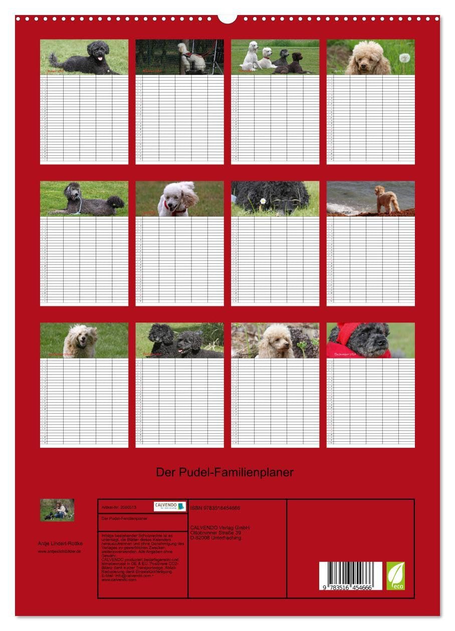 Der Pudel-Familienplaner (hochwertiger Premium Wandkalender 2026 DIN A2 hoch), Kunstdruck in Hochglanz: Der Pudel-Kalender für die ganze Familie (CALVENDO Tiere)