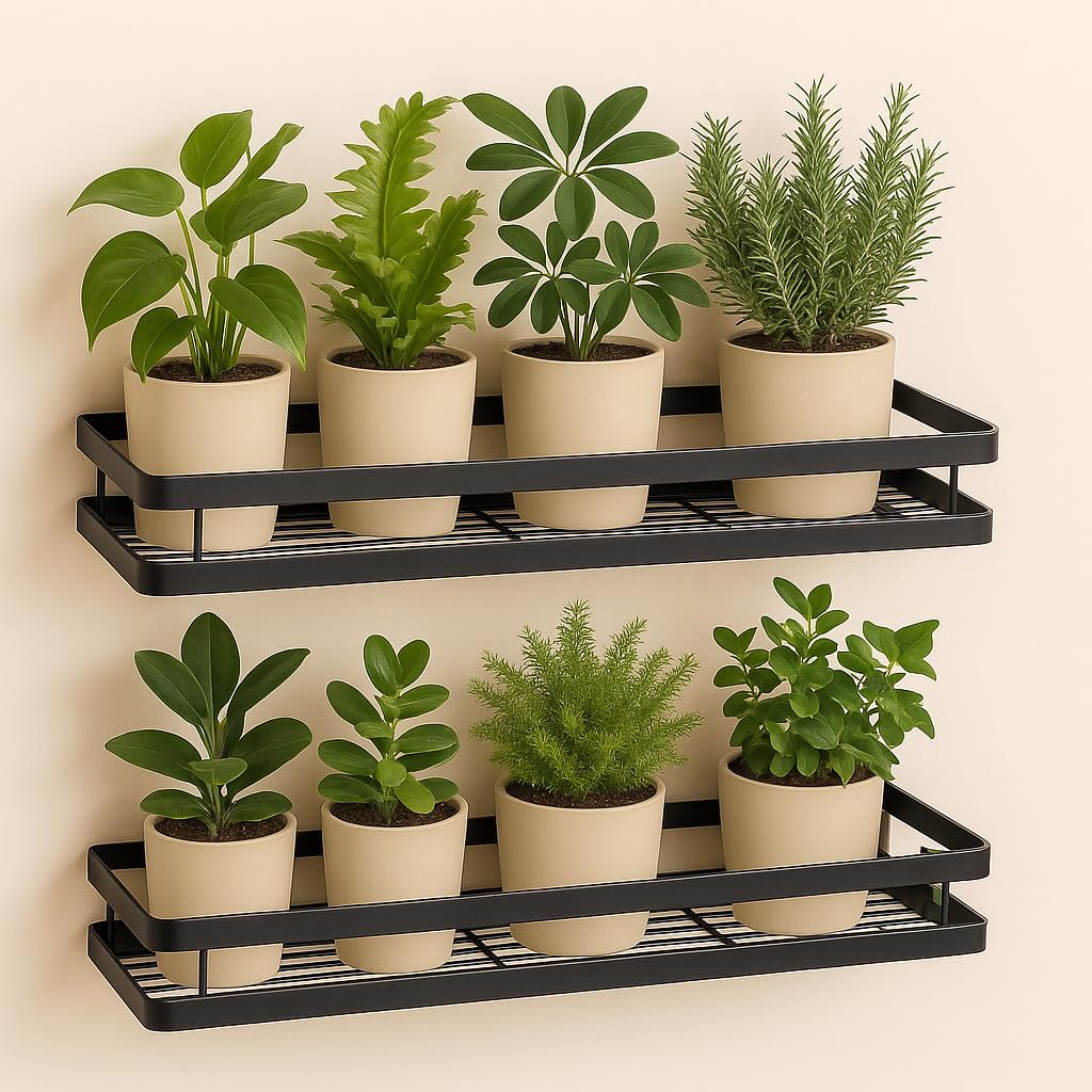 Craft Mshopr Wall Mounted Plant Stand Pack of 2 – Black Iron Garden Wall Shelf for Plants,Hanging Plant Holder & Vertical Wall Planter Rack, Indoor Outdoor Plant Shelf (16 x 5.25 x 2.5 Inches)