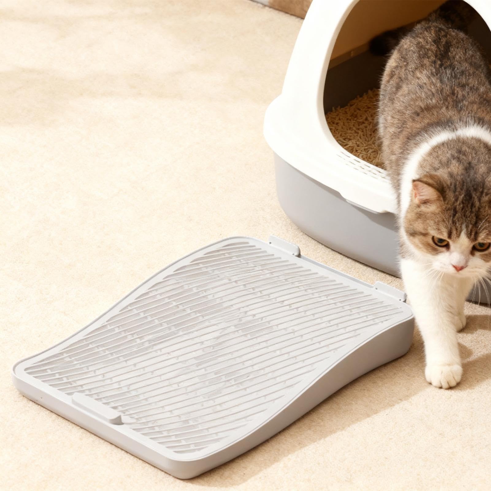 Rampa Per Lettiera Per Gatti - Scale Lavabili Per Per La Raccolta | Dei Rifiuti | Rampa Per Cattura Lettiera - Per Gatti Di Tutte Le Taglie E Anziani Per Divano Appartamento Balcone Terrazza