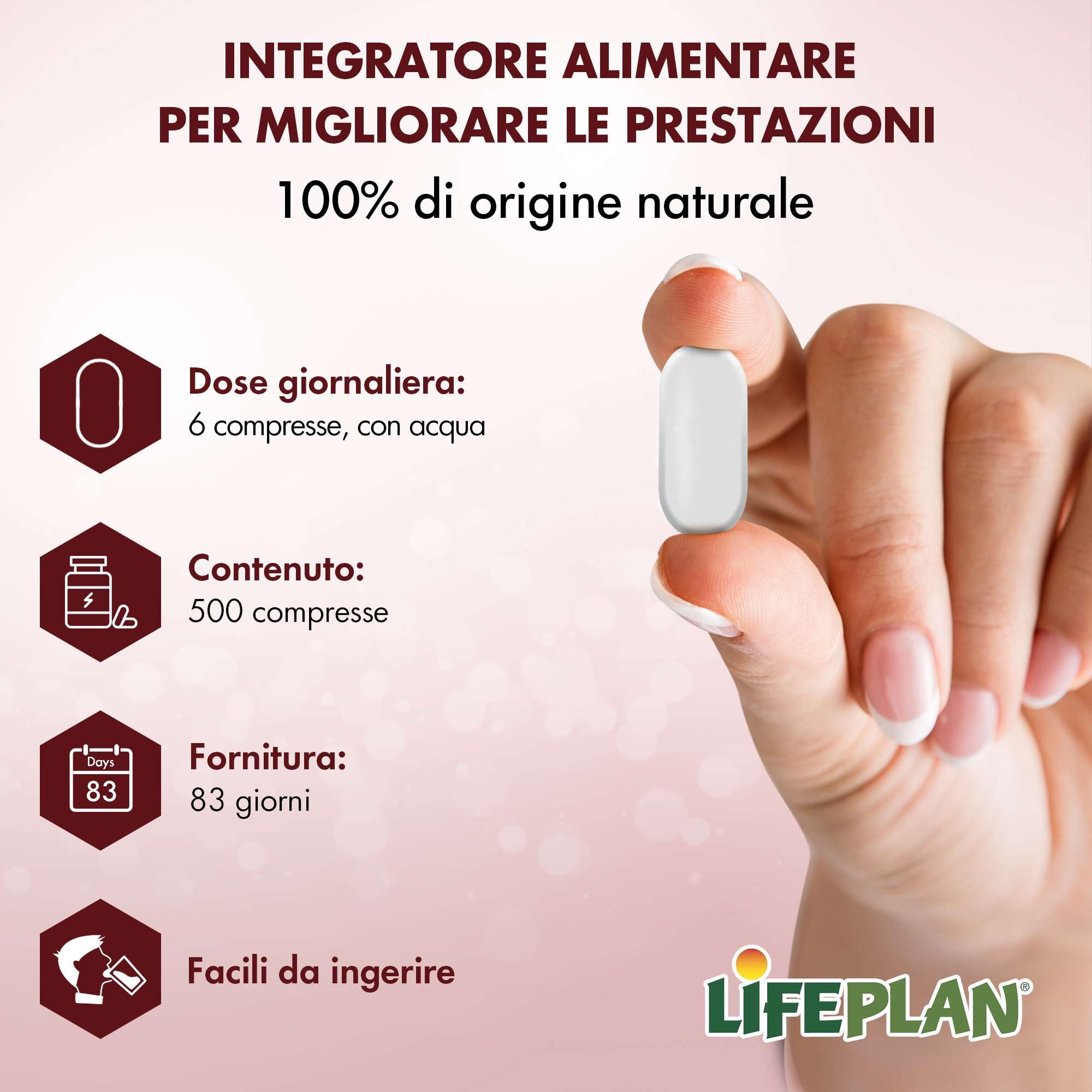 Lievito di Birra Compresse, Integratore Unghie Pelle e Capelli con Niacina, Tiamina e Riboflavina. Supporto Energetico E Metabolico. Integratore Pelle Lievito di Birra Senza Glutine (500 Tavolette)
