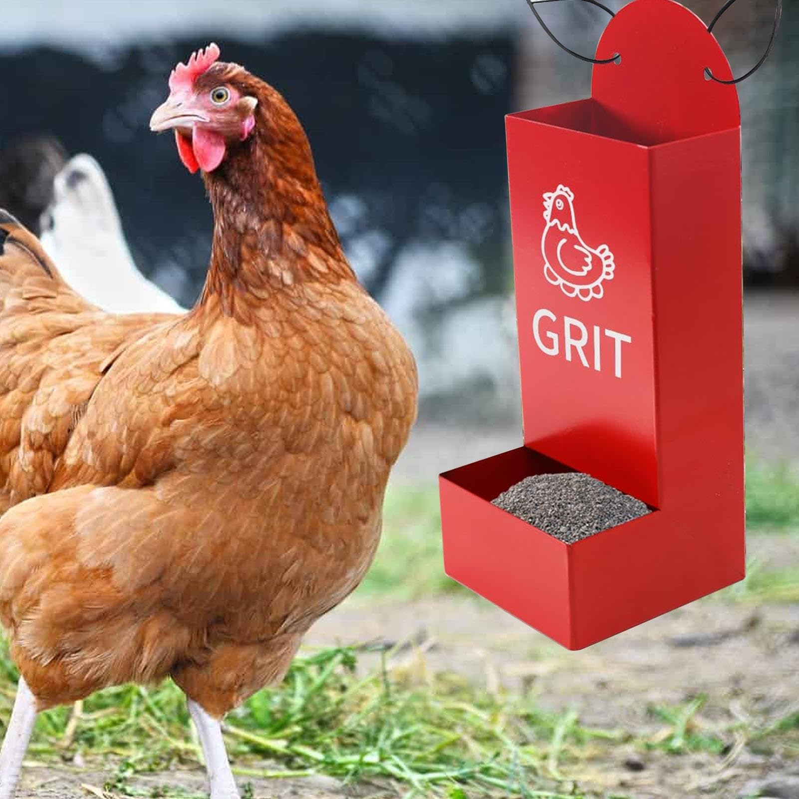 Mangeoire Automatique pour Poules - 2 pièces Grit - Distributeur Semi-fermé Anti-Fuite - Abreuvoir pour volailles en Plein air