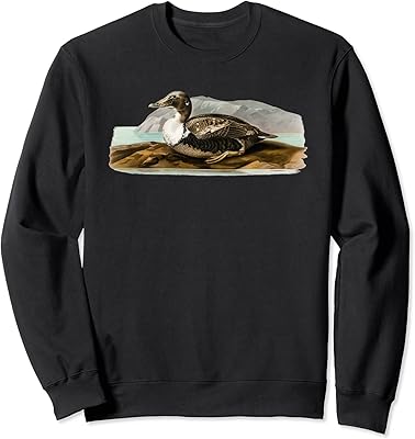 Eider Common Eider Cuddy's Duck Somateria Mollissima Bird Sweatshirt