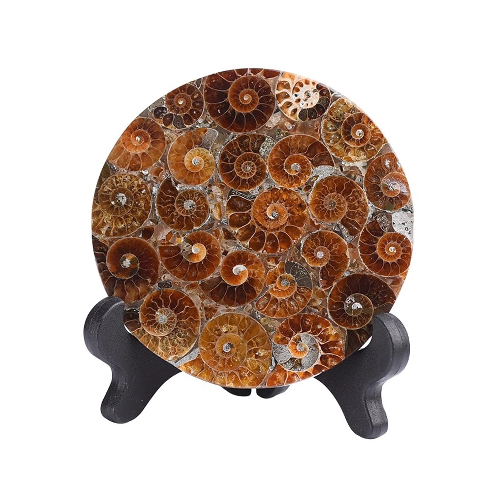 LQYXGS Crystal Stone Home Decor 90-110mm Madagascar Fossils Ammonite Slice Round Plate Coasters Natural Shell Stones And Minerals Specimen