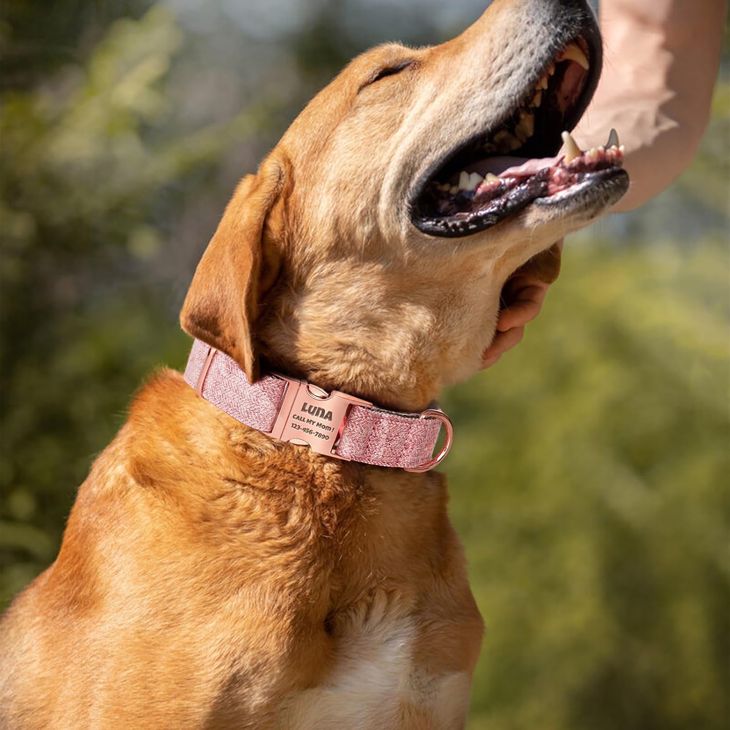 Personalized Dog Collar with Name - Nylon Inner Layer with Polyester Outer Cover, Custom Engraved Name, Adjustable Engraved Collar for Small Medium Large Dogs (Blue, L (15-23.5 inches))