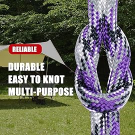 WEREWOLVES 650lb Paracord/Parachute Cord - 9 Strand Paracord Rope - 100\', 200\' Spools of Parachute Cord, Type III Paracord for Camping, Survival (Purple Mix, 100 Feet)