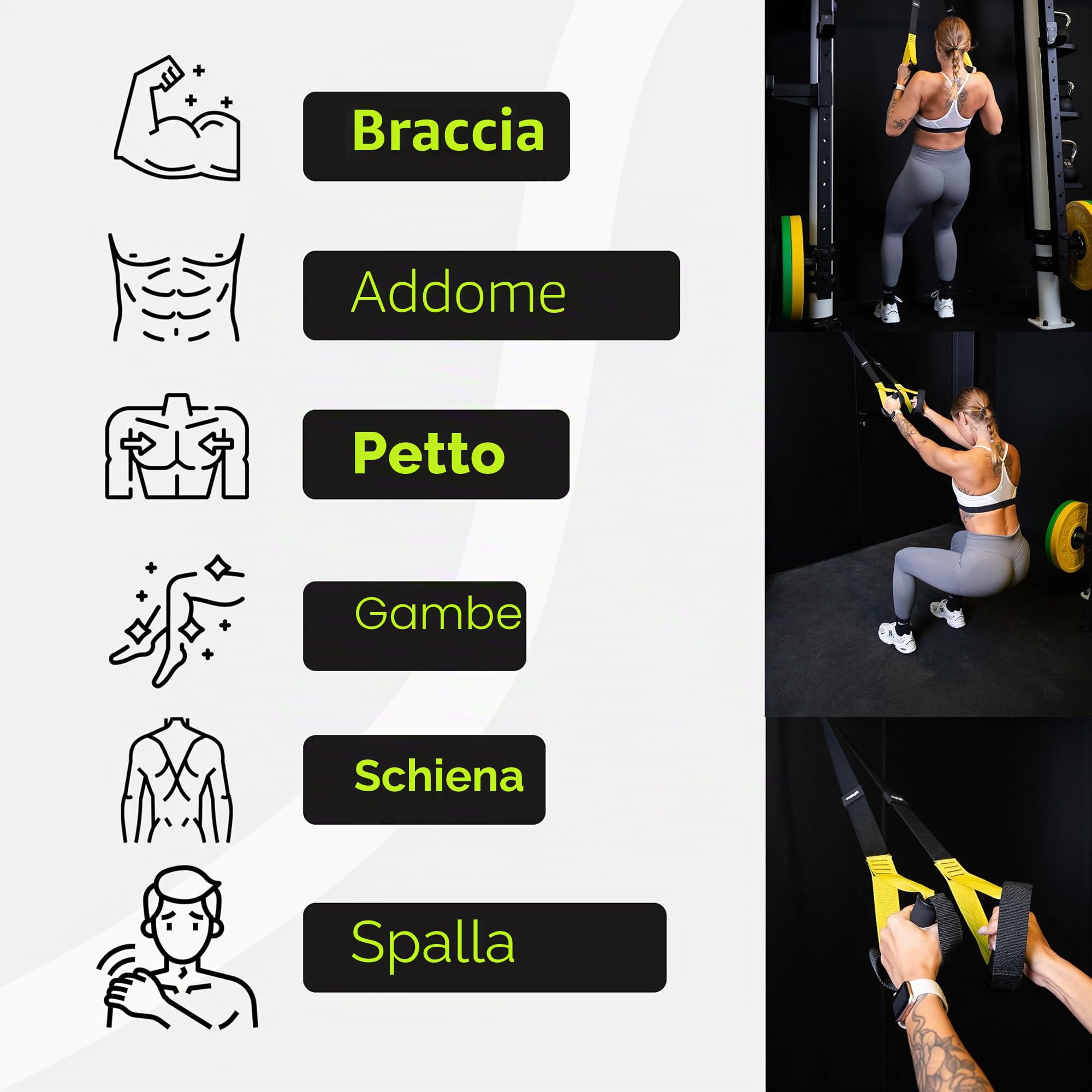 Fizyo TRX Cinghie di Allenamento – Allenamento in Sospensione per Tutto il Corpo per Donna e Uomo – Con Ancoraggio per Porta – Ideali per Casa e Viaggio – Cinghie di Sospensione Fitness
