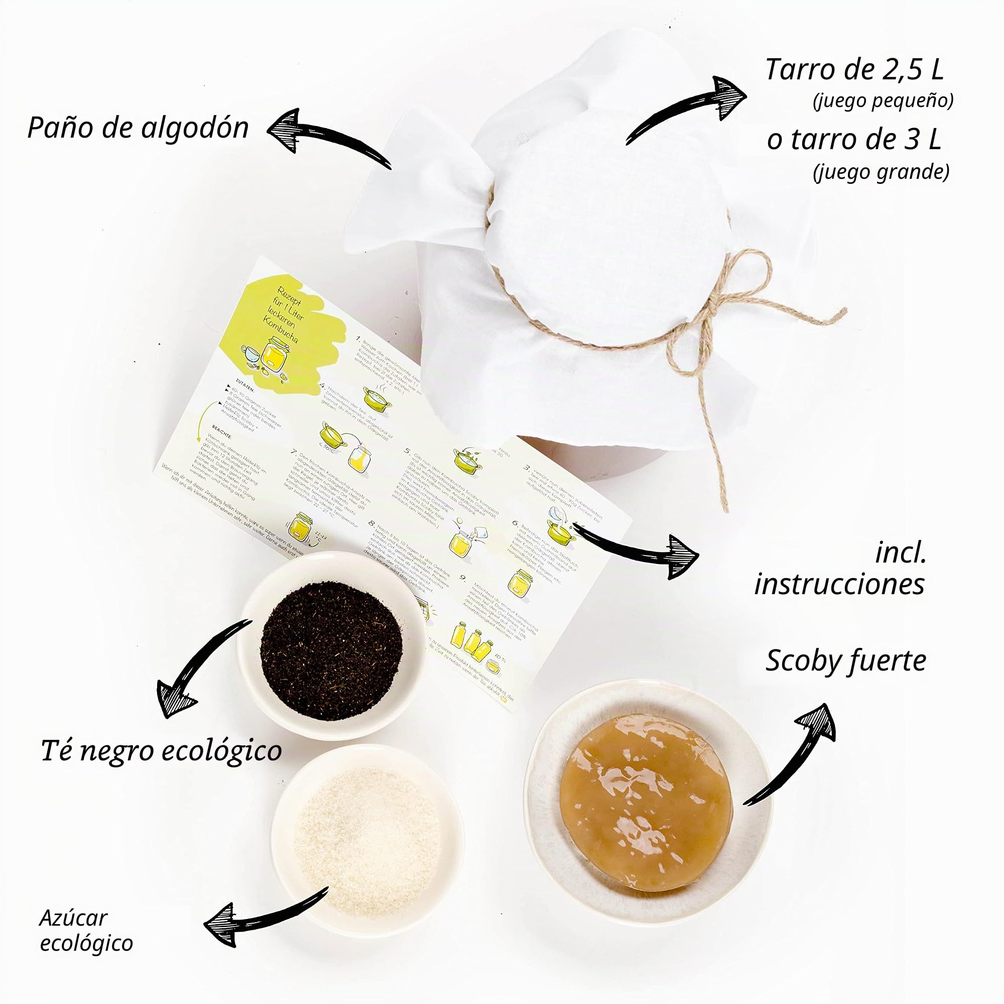 HeldenPilz El | Kombucha Scoby Orgánica | Té de Crecimiento | Skoby + Líquido de Raíz + Regalo | Producción de hasta 6 litros | Ingredientes 100% Naturales | Envase orgánico sostenible y sin plástico