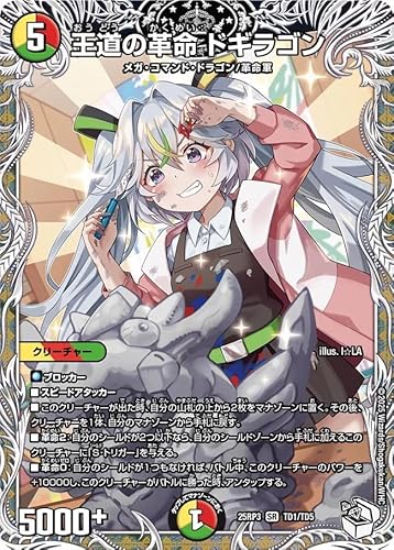 DM25RP3 TD1/TD5 ̊v hMS (SR Lv~AgW[)uW 3e א_vsc `rhEUE^C`v