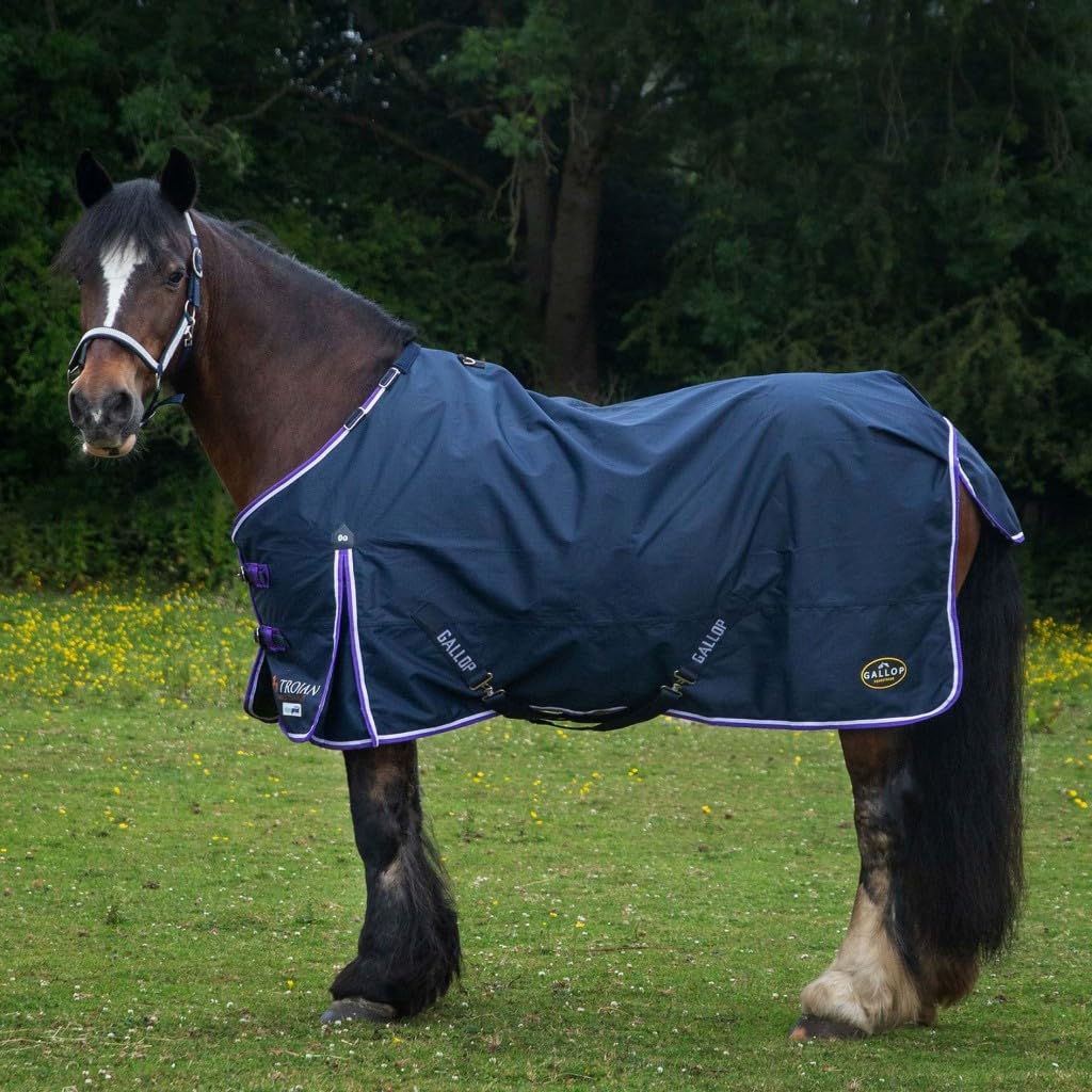Gallop Trojan 0g Duraproof 5-Point Standard Turnout Rug (6'9)
