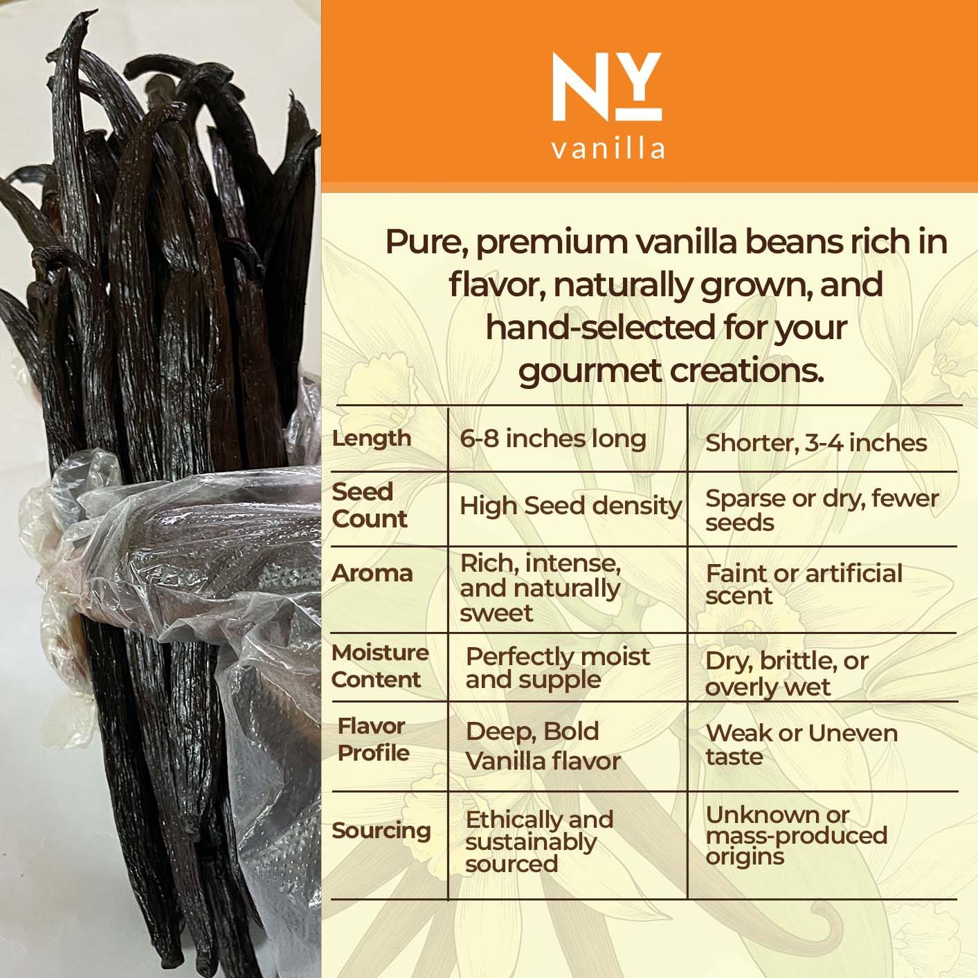 25 Vanilla Beans Grade A+, Whole Vanilla Pods for Making Vanila Extract, ~6-8 Inches, 25 Beans, Baking, Cooking, Non GMO. By NY Vanilla