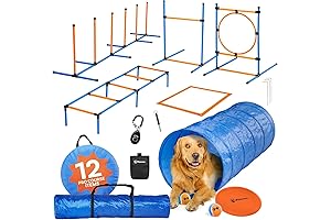 Dog Agility Course Backyard - Train Your Dog At Home