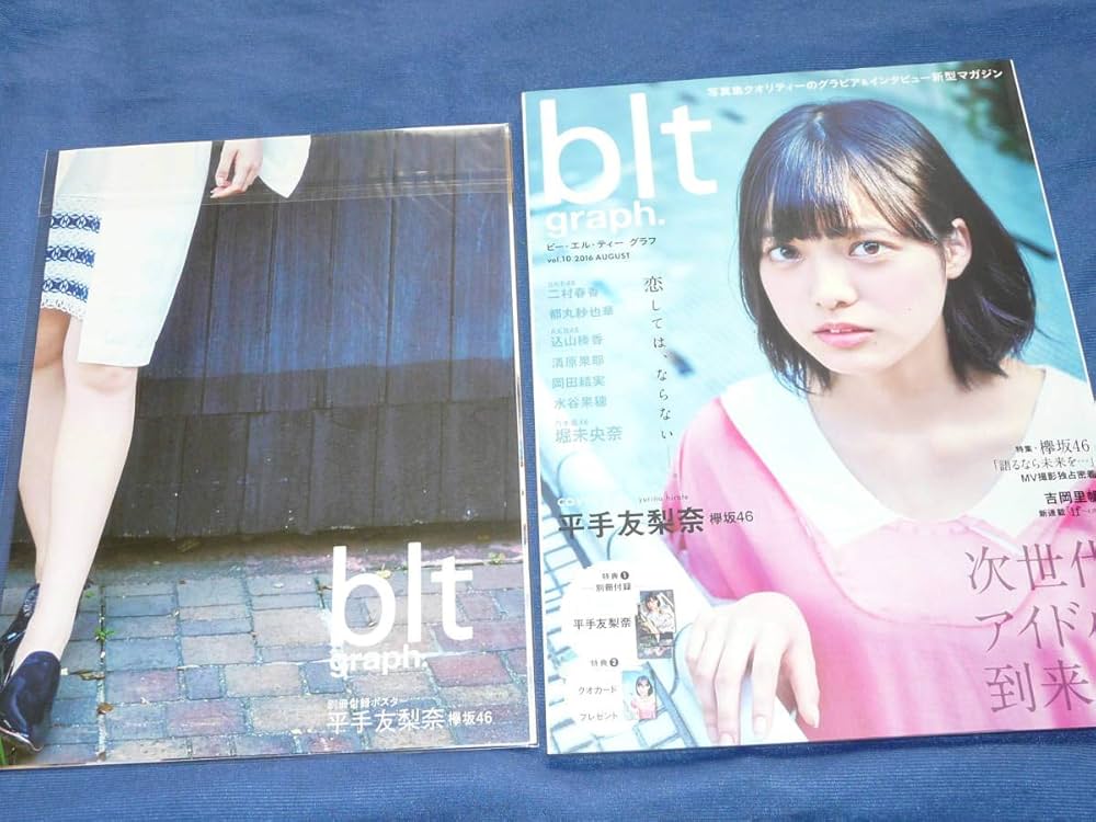 blt graph vol.10 グラビア 平手友梨奈 欅坂46 ポスター付き 堀