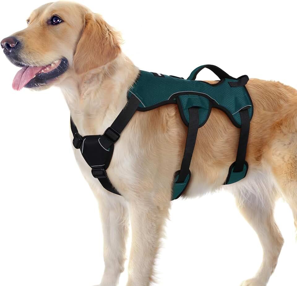 rabbitgoo Escape Proof Dog Harness