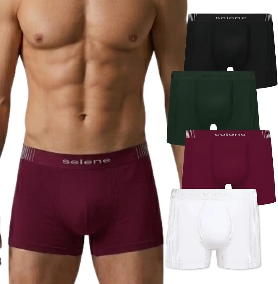 Kit 04 Cueca Boxer Sem Costura Selene Microfibra Box Masculina Adulto