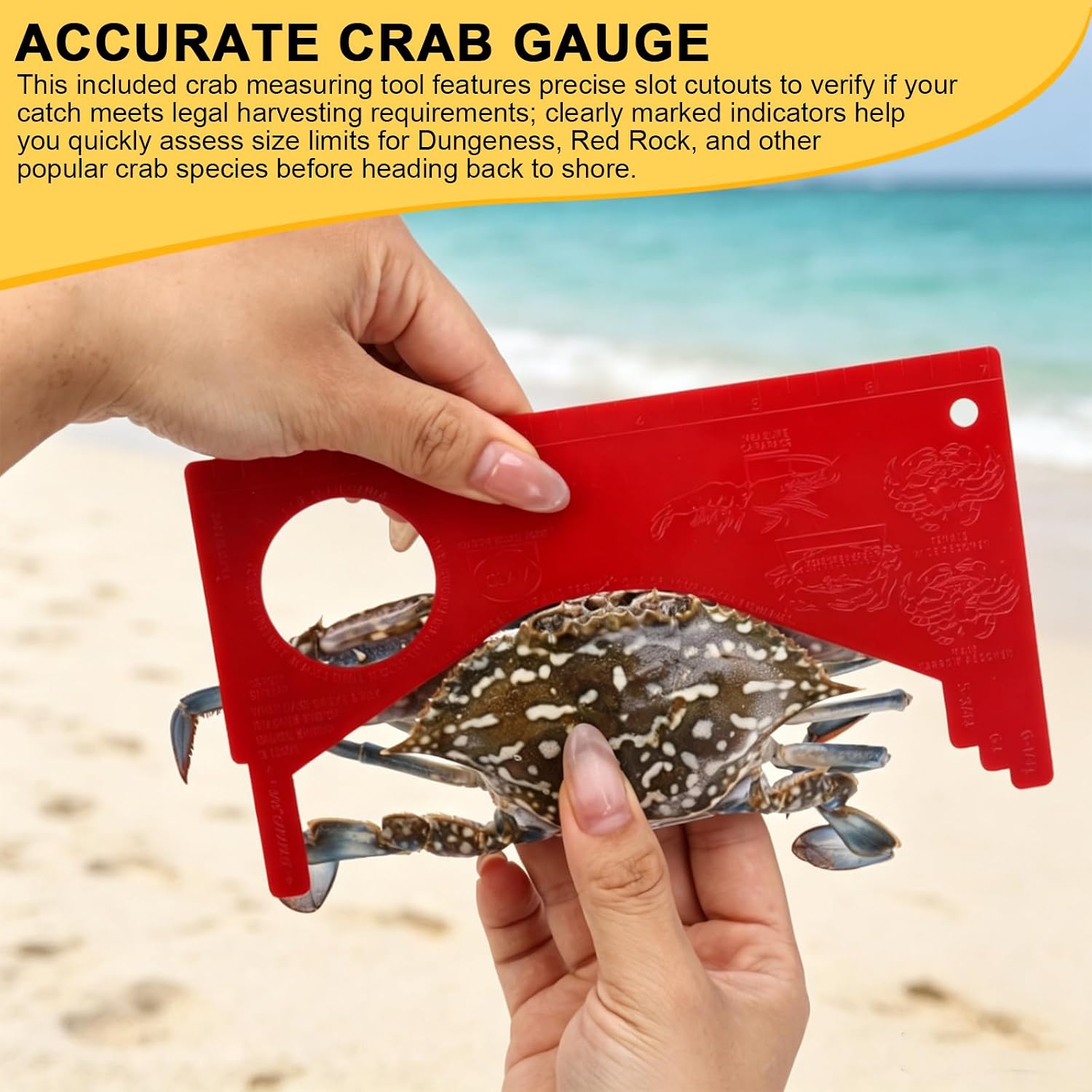 2 Set Crab Tongs and Crab Gauge for Live Crabs, 15.3" Heavy Duty Seafood Grabber, Extended Length Helps Maintain Distance While Handling