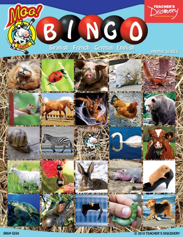 Teacher's Discovery Animal Bingo (2010)