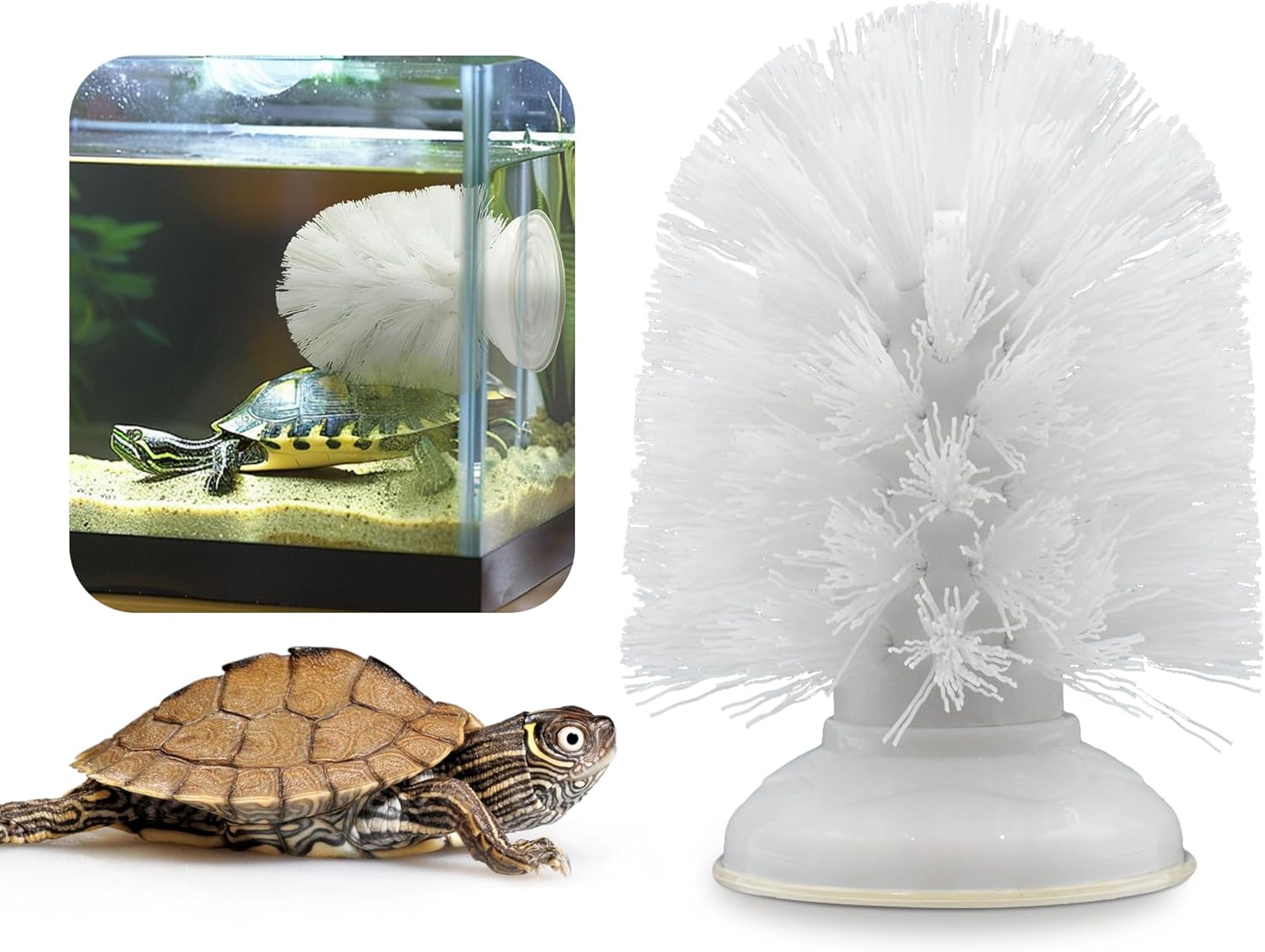 Turtle Brush with Suction Cup, Turtle Toys for Aquatic Turtles Enrichment Toys, Small Turtle Brush for Turtle Aquarium Accessories, Aquatic Turtle Tank Accessories Turtle Brush with Suction Cup, Turtle Toys for Aquatic Turtles Enrichment Toys, Small Turtle Brush for Turtle Aquarium Accessories, Aquatic Turtle Tank Accessories