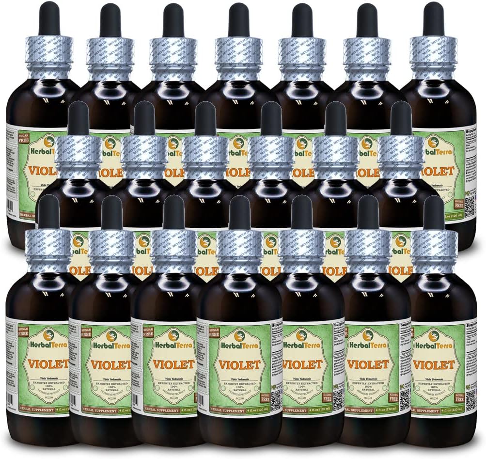 Violet (Viola Yedoensis) Dried Herb Alcohol-Free Liquid Extract (Brand Name: HerbalTerra, Proudly Made in USA) 20x4 oz