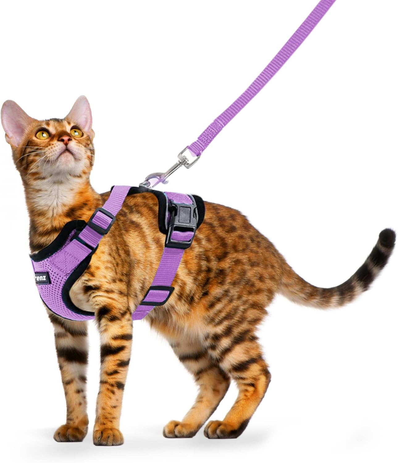 FurryFrenz Cat Harness and Leash Set for Walking