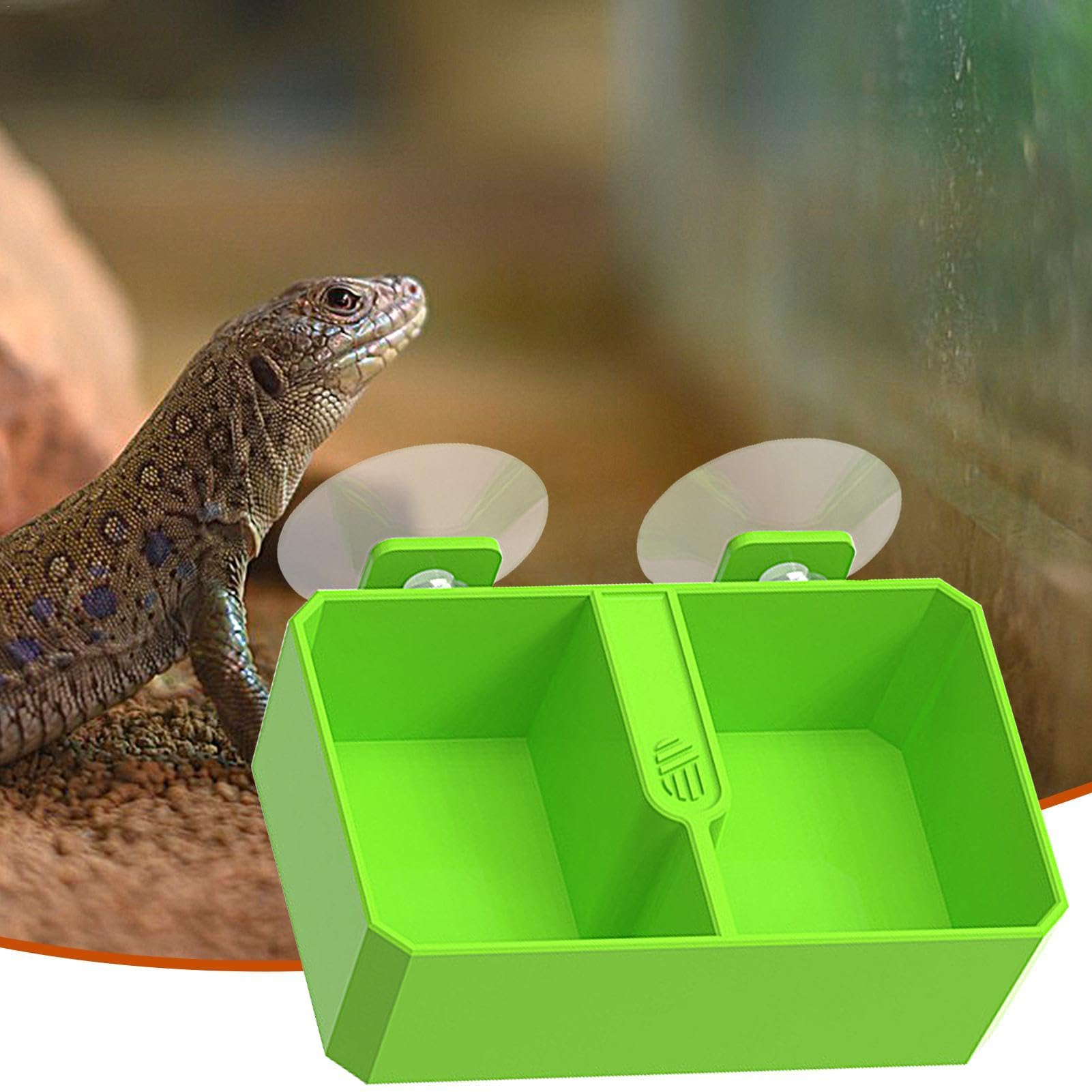 Mangeoire D'angle Pour Reptiles Avec Ventouse Pour Lézards Et