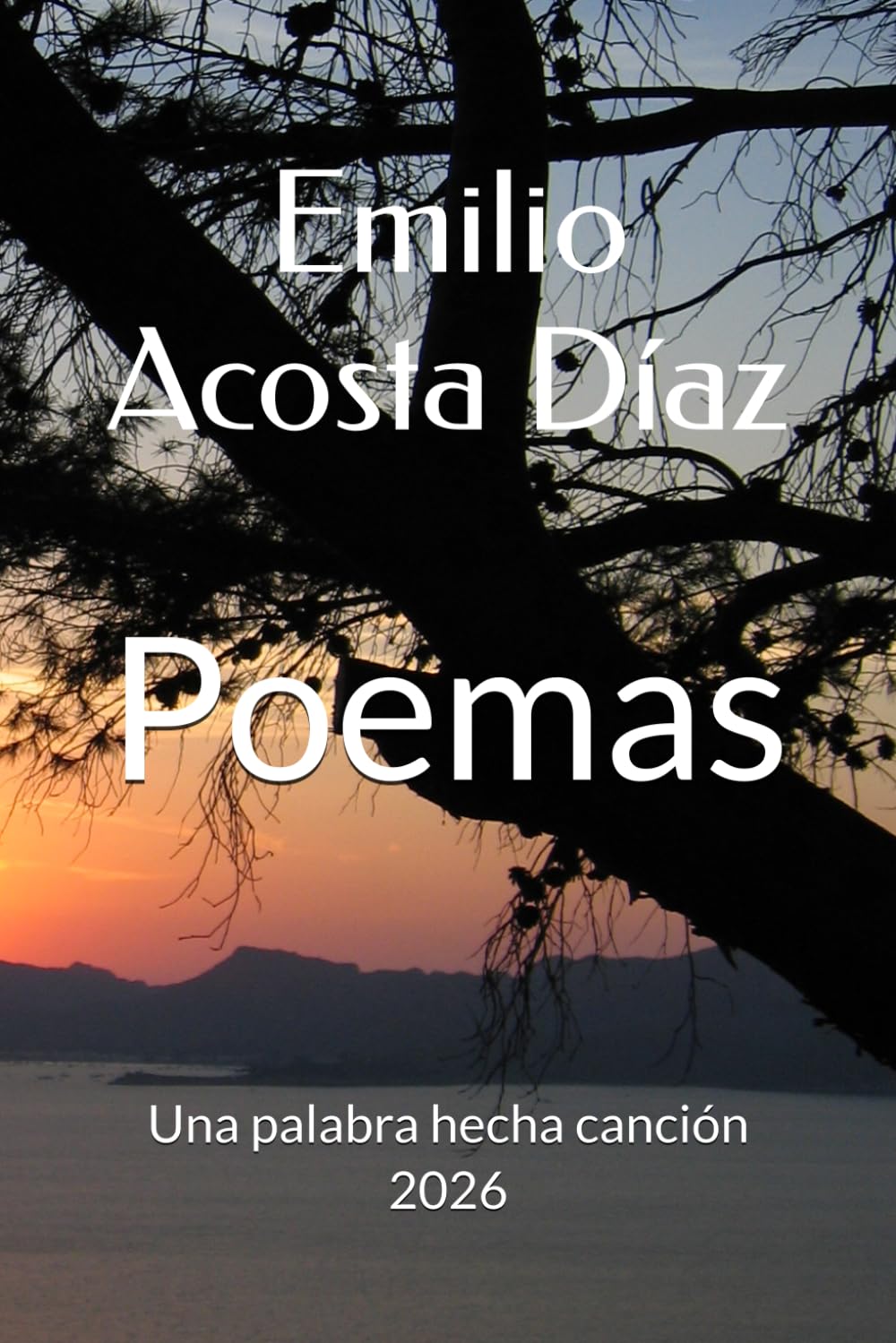 Poemas: Una palabra hecha canción