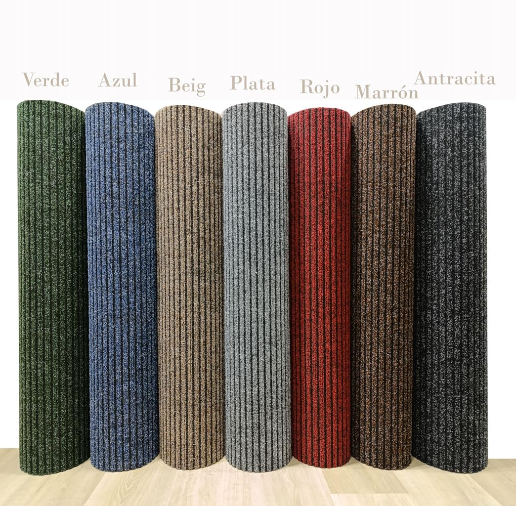 Tadi & Imperio1979 Paillasson Grand - Paillasson Pour Bâtiments - Nettoie Les Chaussures - Enlève Les Pattes Et La Poussière - Paillasson D'entrée Et De Maison - 100 X 180 Cm