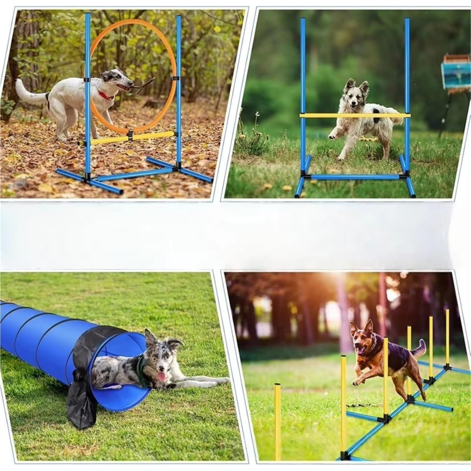 Agility-Trainingsset für Hunde, Starter-Hinderniskurs mit Reifensprung, Hürde, Tunnel, Webstangen, Pausenbox für Indoor-Outdoor-Übungen