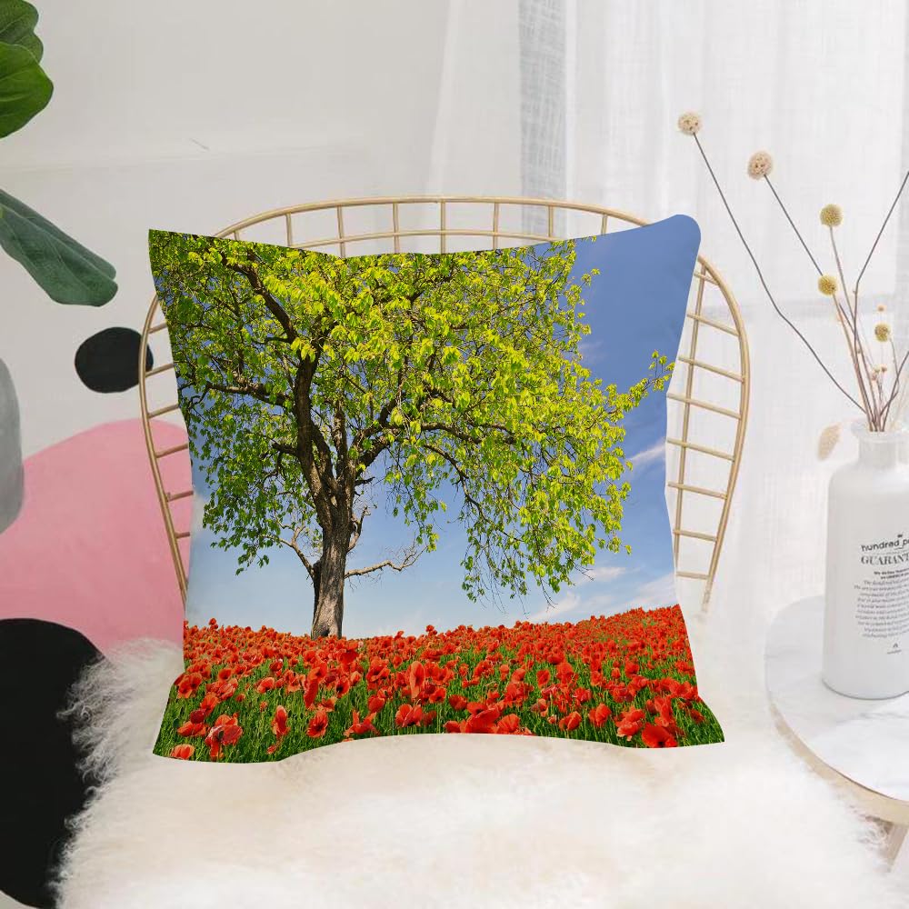 HYOSXW Cushion Cover,Throw Pillow Case Home Decorative for Living Room Bedroom Sofa Chair 16X16 Inch,Poppy, Landscape of Blooming Poppies on a Majestic Field,Pillowcase 40X40cm