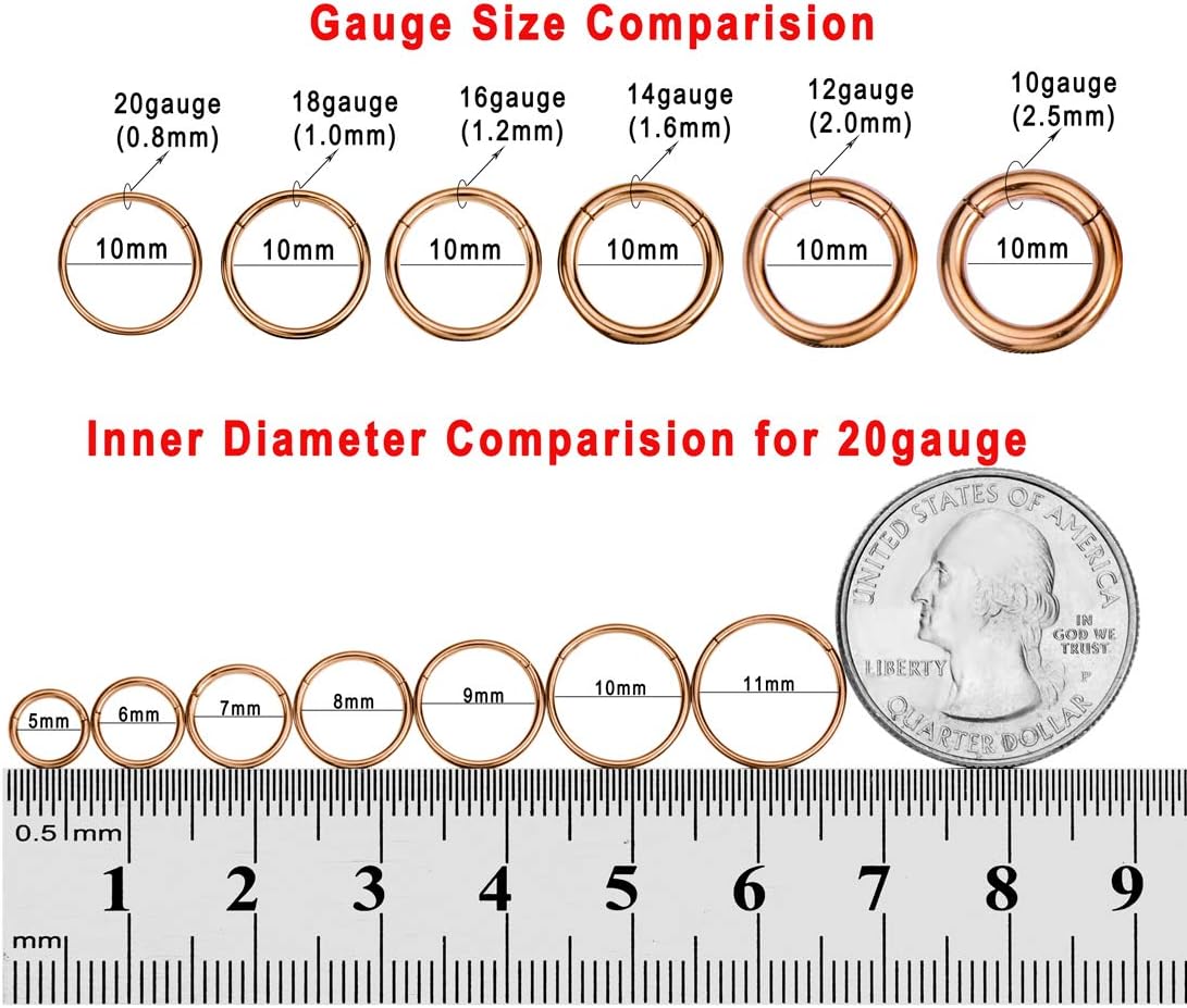 FANSING Men Women 316L Surgical Steel Hinged Nose Rings Hoop for Nostril Septum Cartilage Helix Daith Tragus Rook Conch Lip Ear Lobe Piercings - Image 3