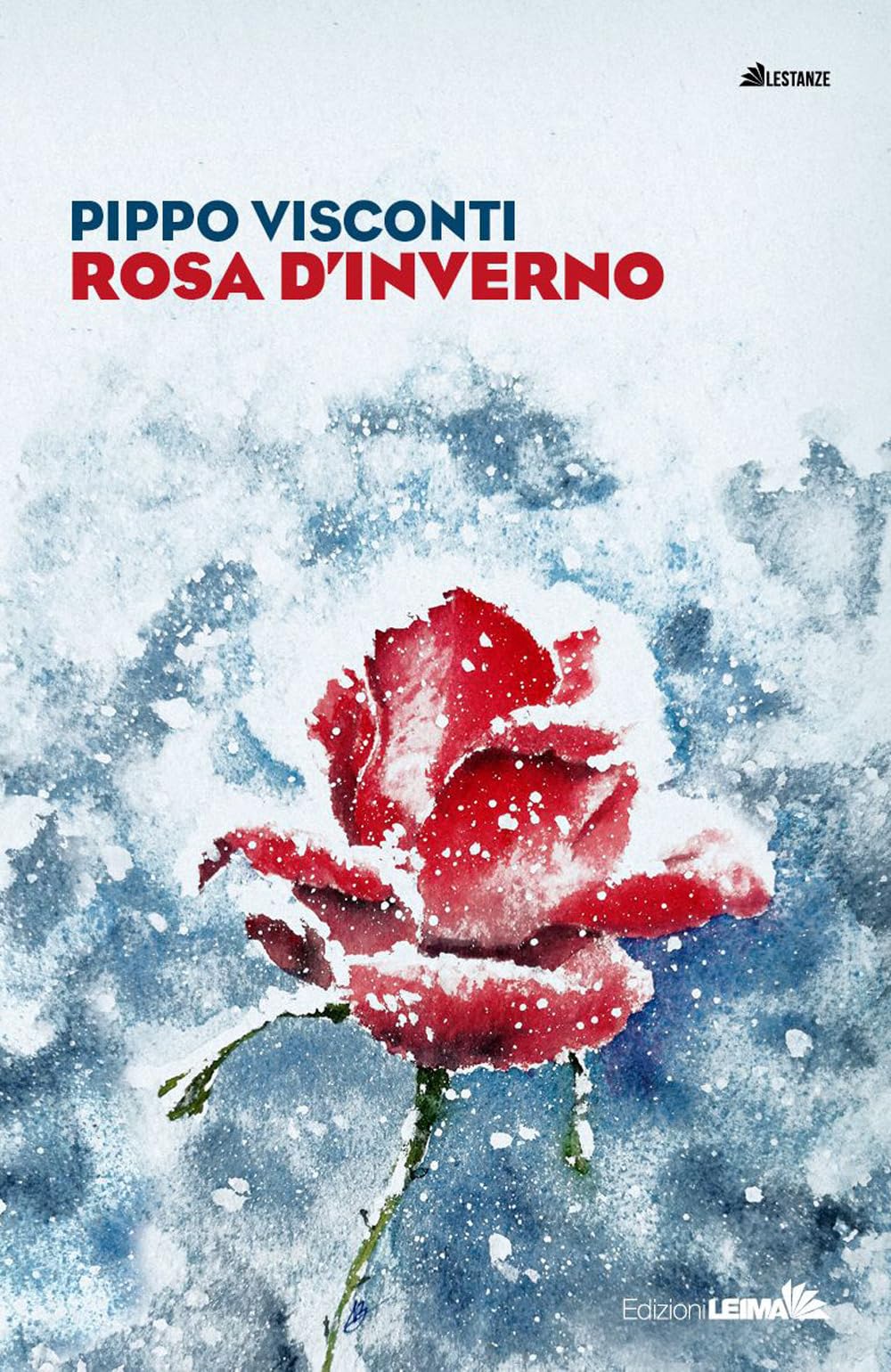 Rosa D'inverno - 4