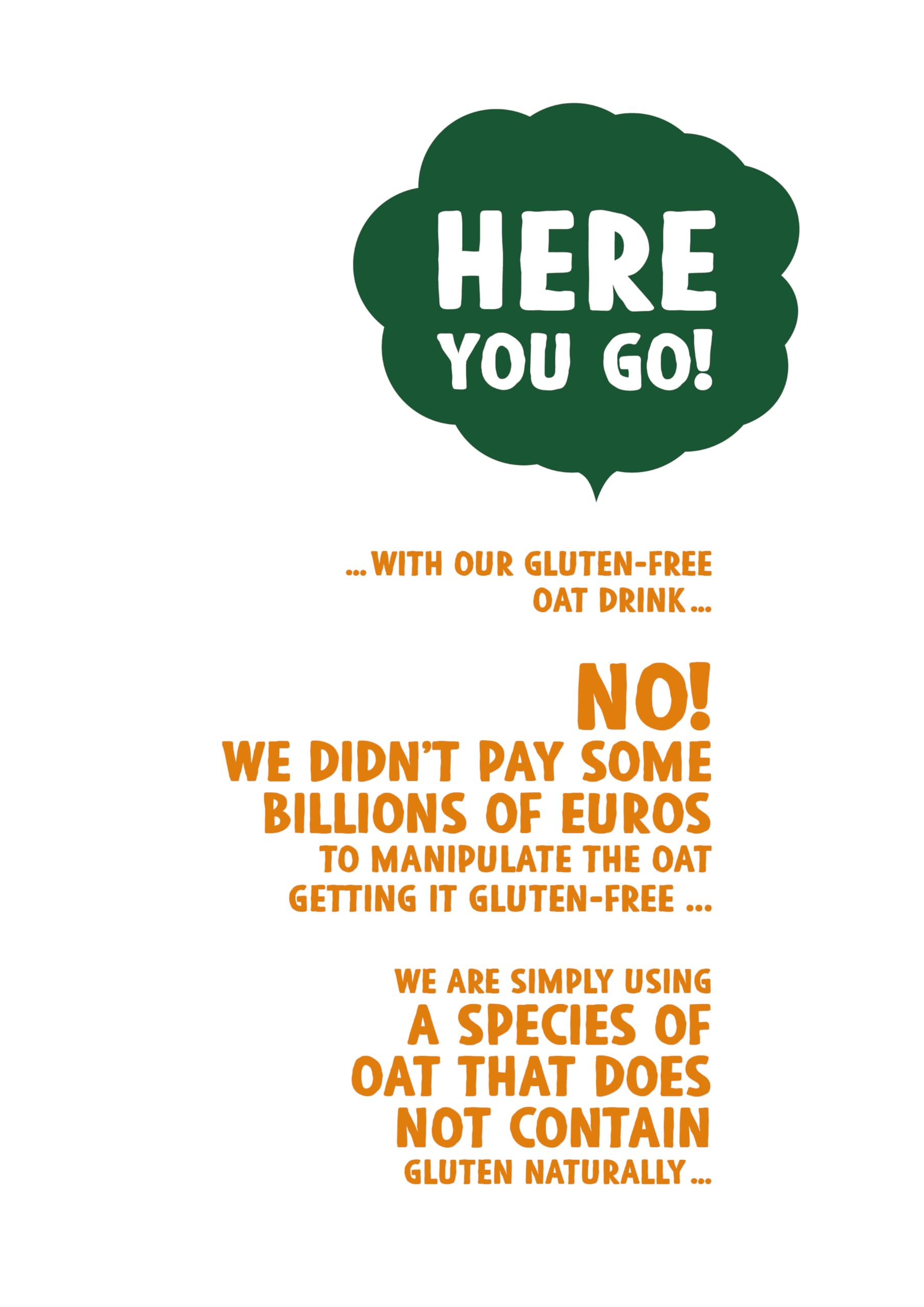 The Bridge - Bio Oat Drink GlutenFree - Bevanda Biologica a base di Avena Senza Glutine (Formato da 1 litro, Scatola da 12 Pezzi)