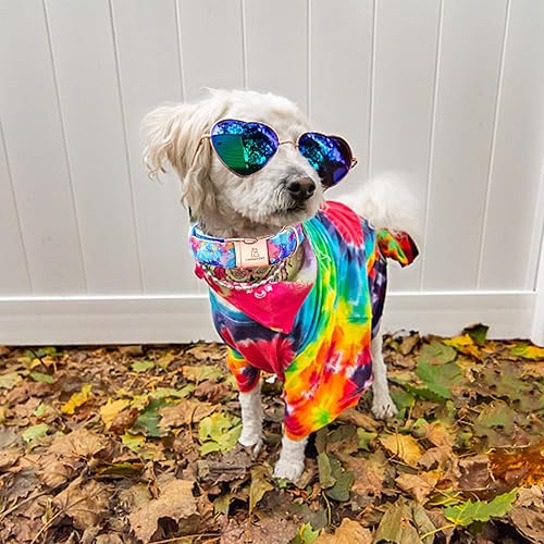 Miniatura 5 de Lionheart glory Collar colorido para perro, collar de primera calidad, lindo collar para mascotas, regalo para perros pequeños, medianos y grandes