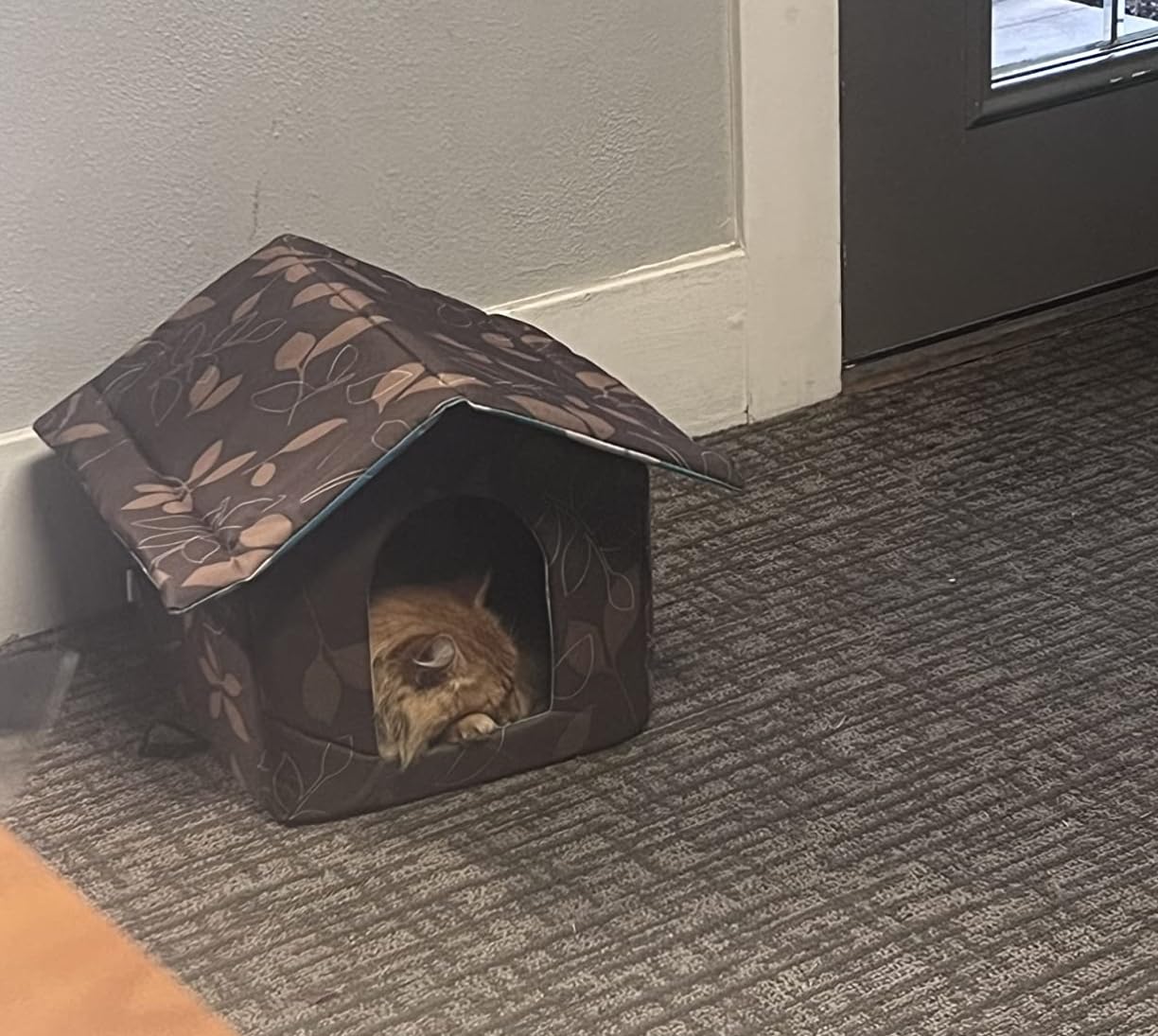 Casetta per gatti per esterni, resistente all'inverno, impermeabile, resistente alle intemperie, per animali domestici, morbida e calda, con cuscino rimovibile per cani