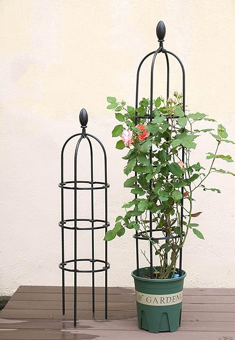 Amazon Co Jp メタルオベリスク植物トレリス組立かんたん ローズオベリスク 植物支柱 2pcs 花ささえ 使い簡単 耐候性 花支え オベリスク スリム つる植物の牽引サポート ガーデニング用品 多機能 植物クライミングフレーム ブラック ホワイト Diy 工具 ガーデン