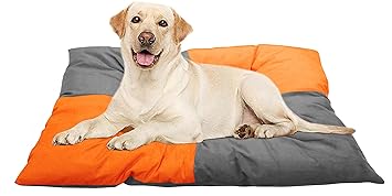 Hiputee Premium Velvet Cushion Dog Cat Pet- Soft Comfortable, Cozy, Reversible Washable Bed for All Breeds (L, Orange Grey)