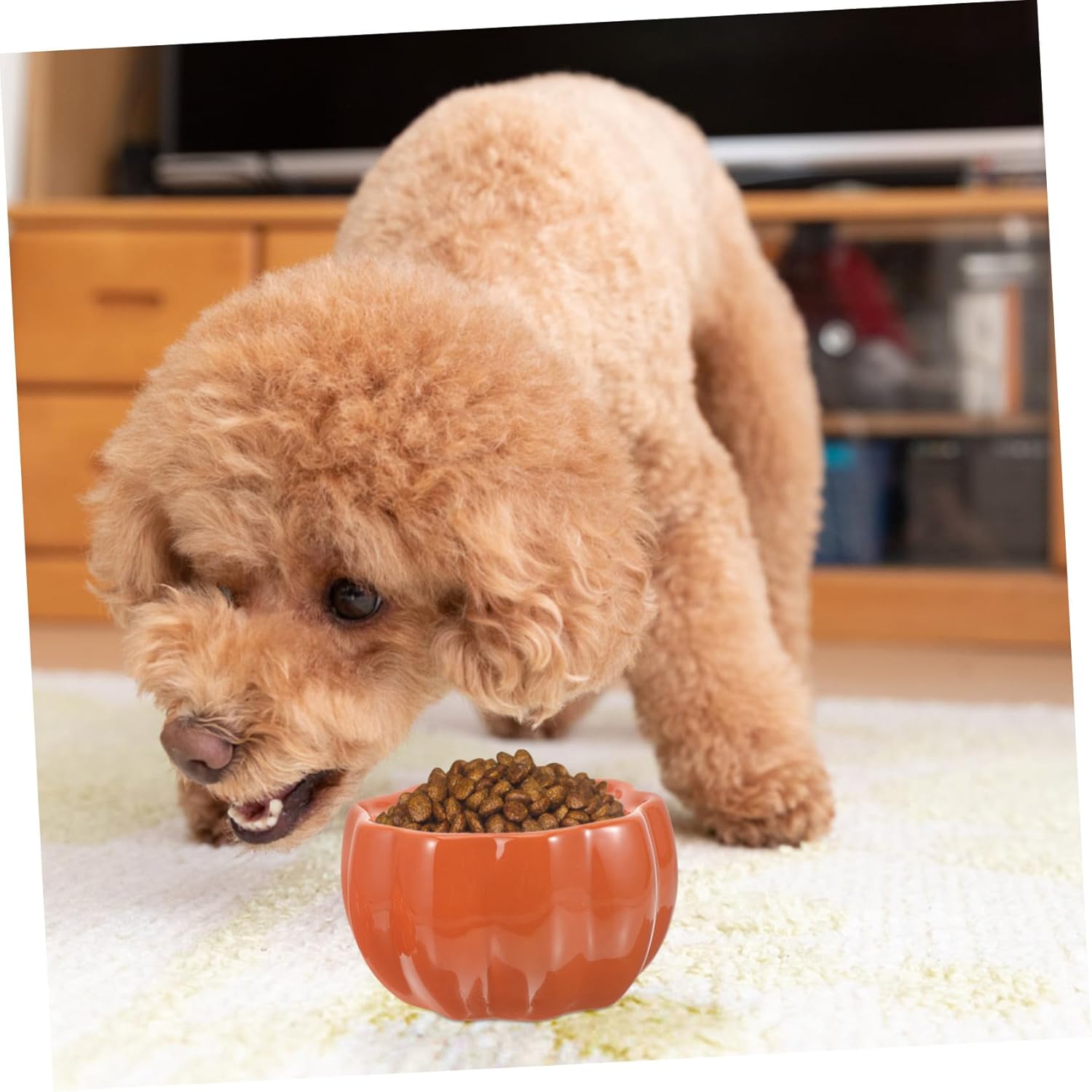 POPETPOP Cute Pumpkin-Shaped Ceramic Bowl Elevated Pet Feeder for Food Water Non- Design Portable for Home Decoration Pet Dining