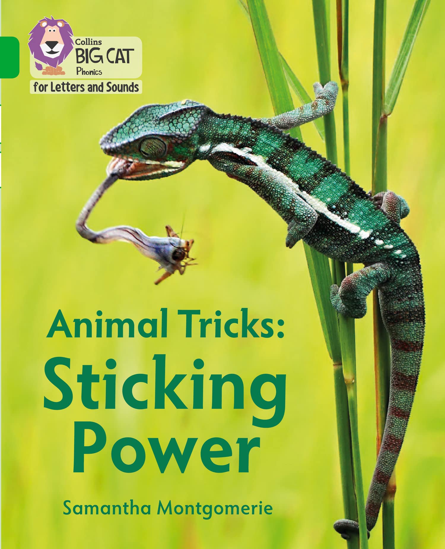 Animal Tricks: Sticking Power by Samantha Montgomerie,  Colli... - 9780008409982