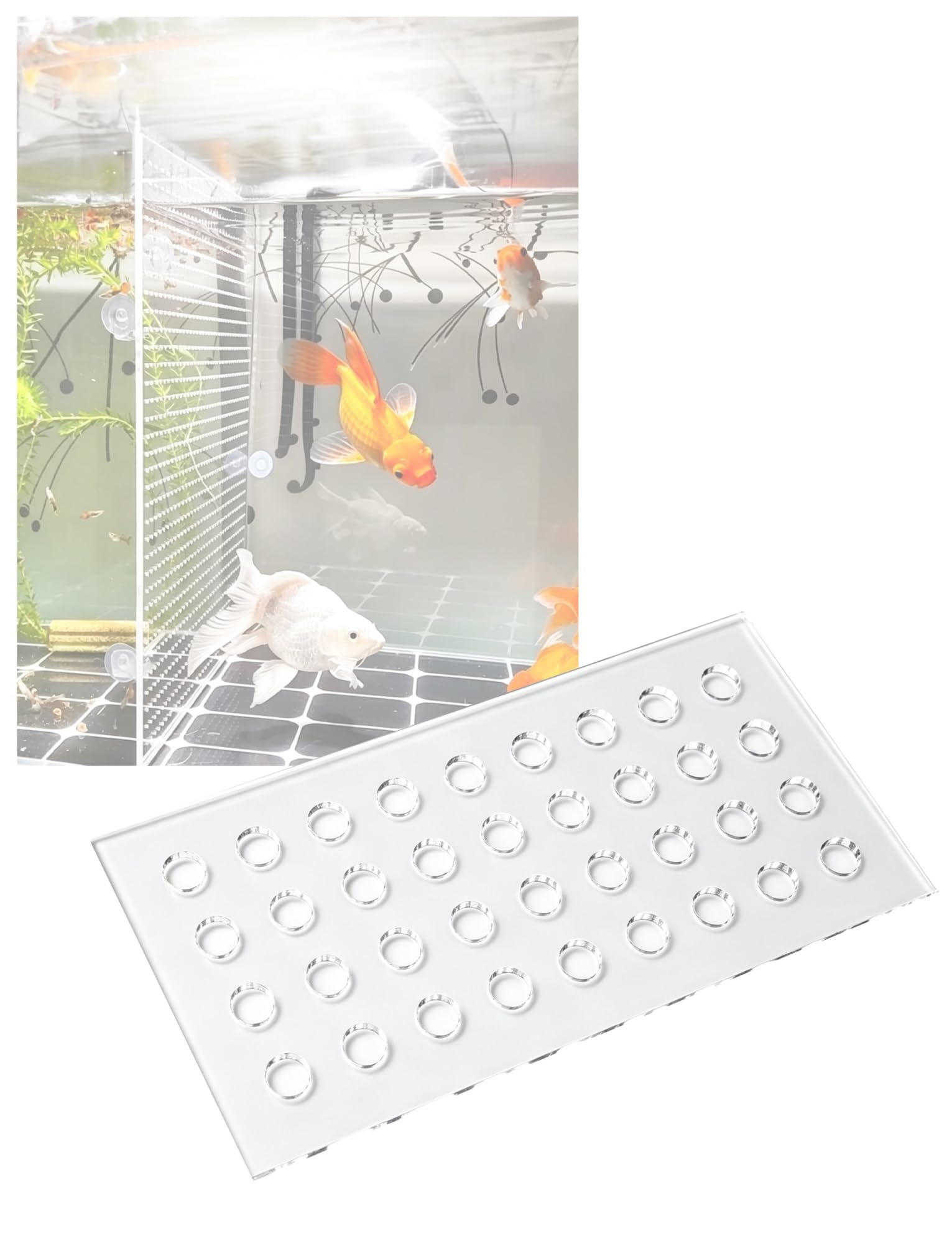 Divisor acrílico for Acuario, Separador Transparente for pecera