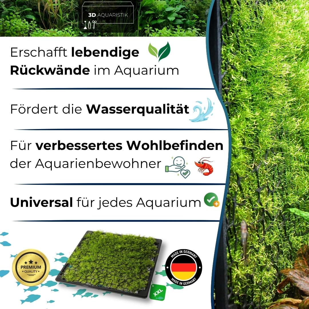 Generisch Mooswand XL 47x33 cm für Aquarium Rückwand-Gitter zum Begrünen - Slim Design mit Saugnapf - für Moos & Aufsitzerpflanzen - Aquarium Pflanzen Zubehör | XL-Edition (47x33 cm) für große Aquarien mit Magnet oder Saugnapf