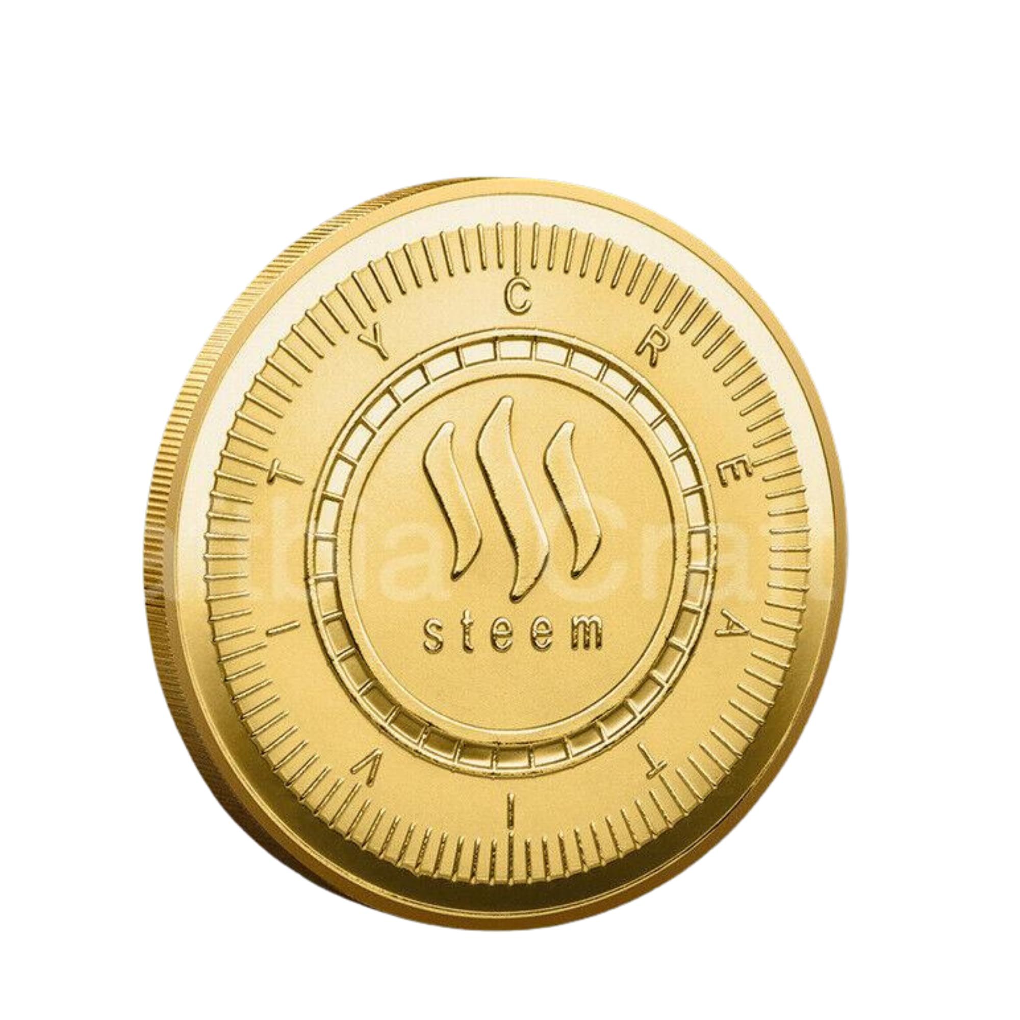 Craftbia Steem Crypto Coin Comes with Round Case- Exceptional Gift for Crypto Lovers, Collectors, or Investors