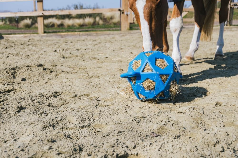 Kentucky - Relax Horse Spiel & Heuball Royal Blue Grösse L 40cm