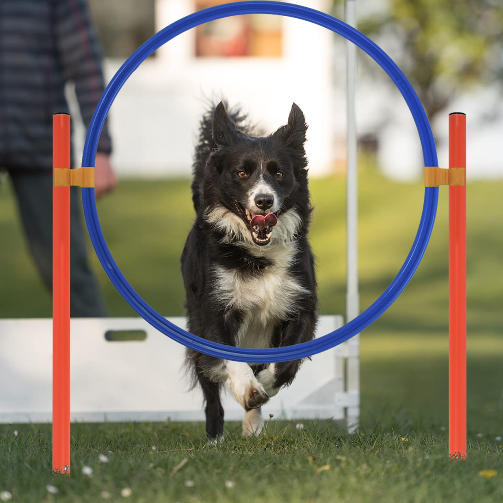 UISEBRT Juego de entrenamiento para mascotas, obstáculos con túnel para perros, obstáculos, túnel de entrenamiento, incluye barra de obstáculos, altura ajustable
