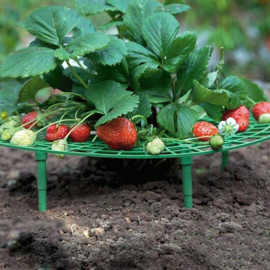 Stojak na truskawki Uchwyt ramy, na stojak do sadzenia balkonów Podpórka na owoce Roślina Kwiat Wspinaczka Winorośl Filar Stojak ogrodniczy(10 PCS)