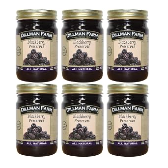 Dillman Farm All Natural Blackberry Preserves - Gluten-free, Non-GMO, Vegan, Kosher, Preservative Free, Corn Syrup Free - Made in USA, 16oz Pack of 6