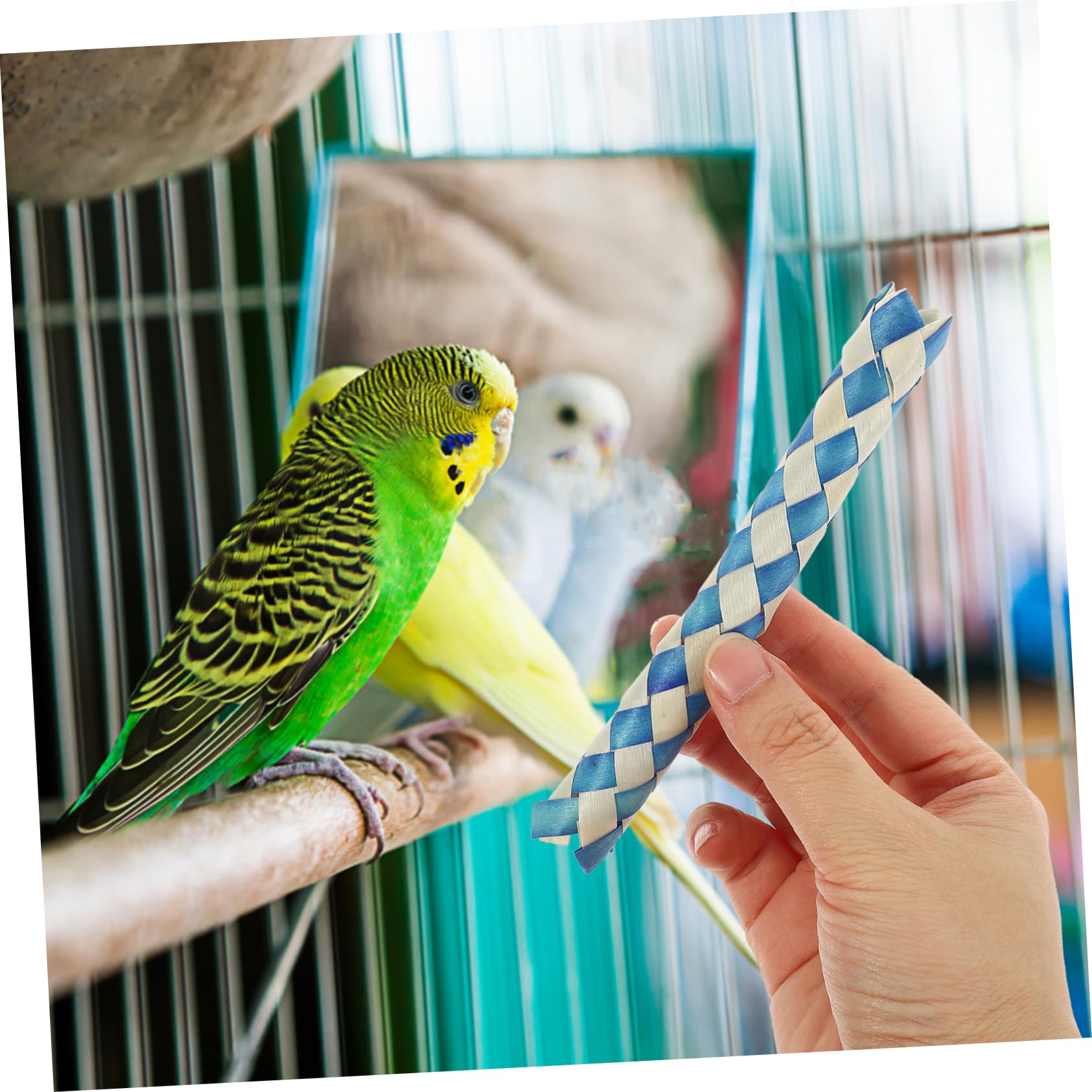 24pièces Jouet pour Oiseaux Accessoires De Fête Anniversaire Remplissage De Et De pour Oiseaux Jouets à Mâcher pour Perruches Et Perroquets Aléatoires