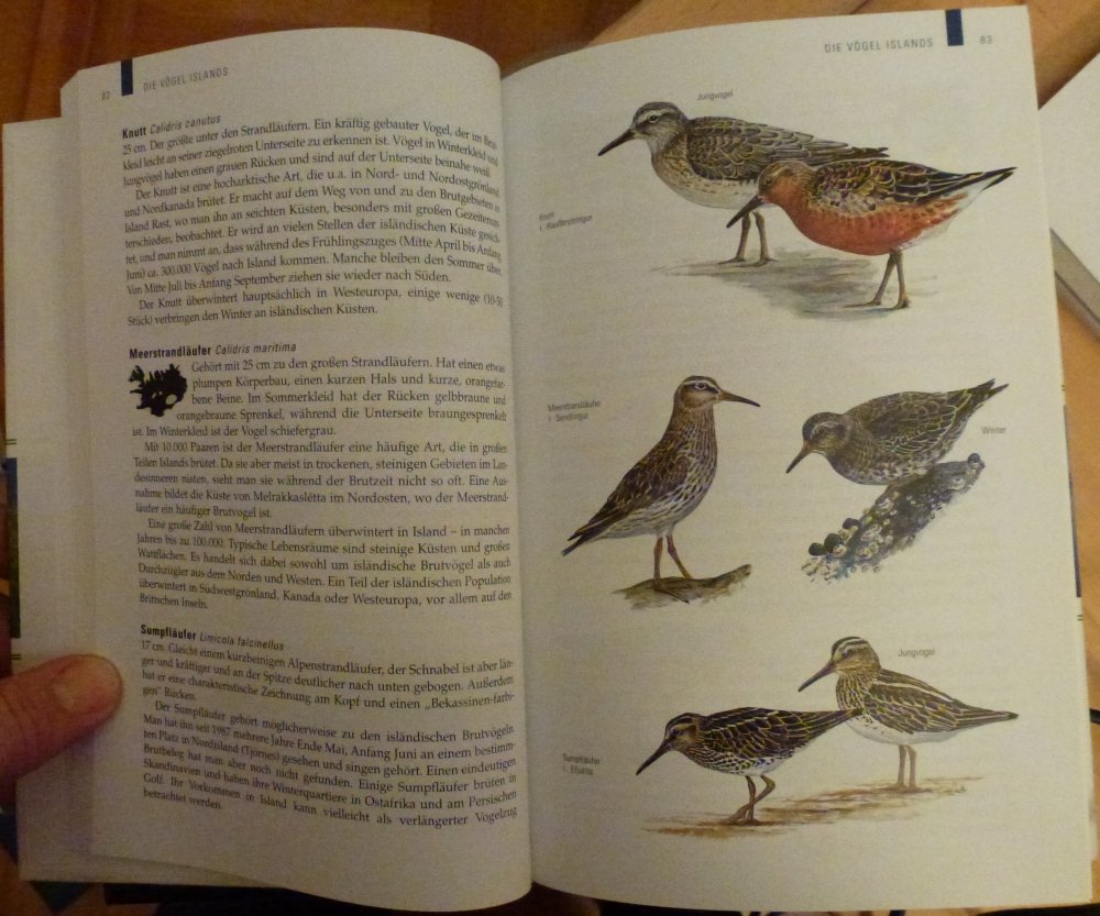 Die Tiere und Pflanzen Islands