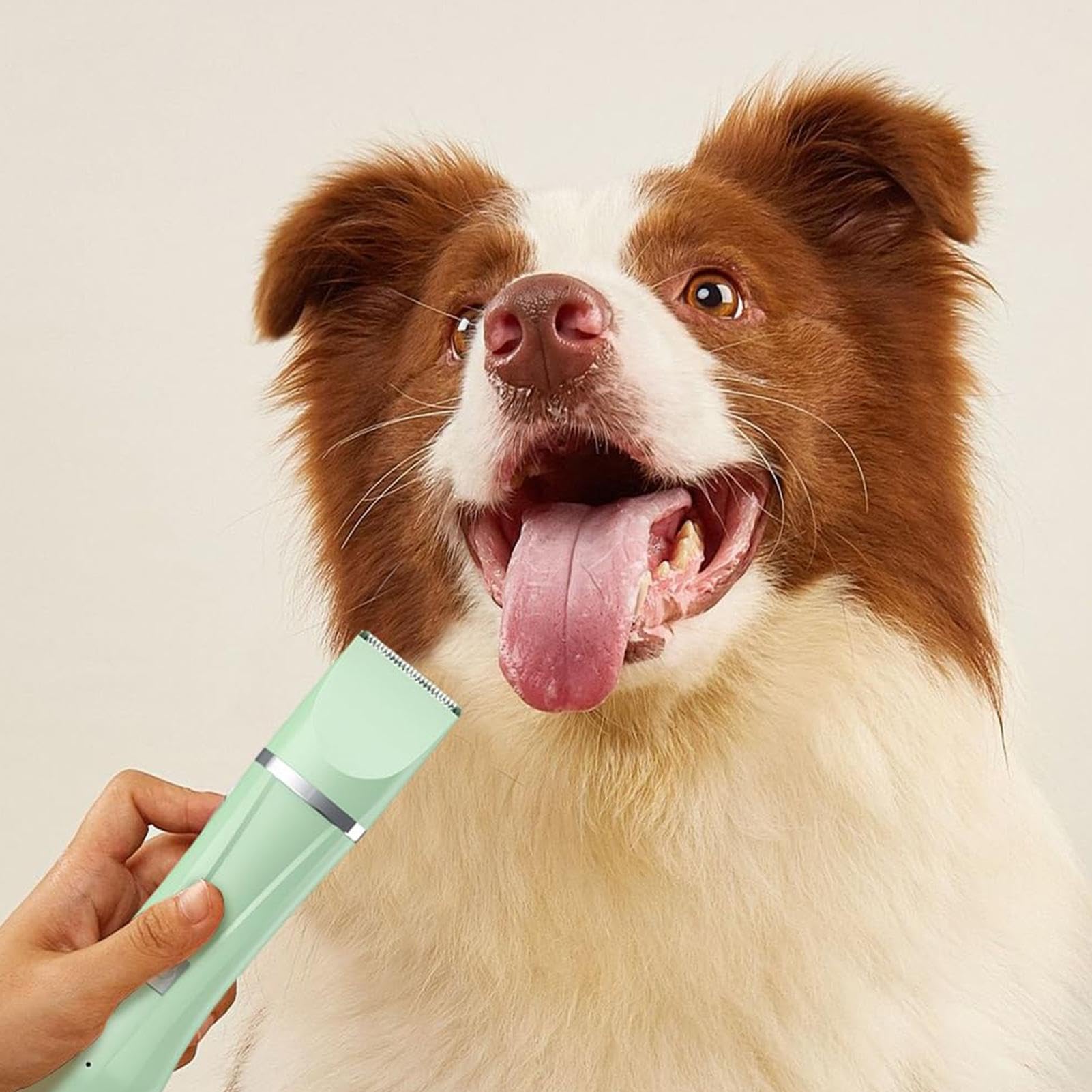 Tondeuse à oreilles de chien, kit de toilettage électrique pour chien | Kit de toilettage électrique pour chien à faible bruit,Rasoir léger pour chat, ensemble de toilettage polyvalent pour pattes, ye